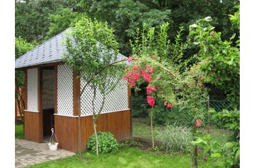 Унгария Privát Hajdúszoboszló, Екстериор